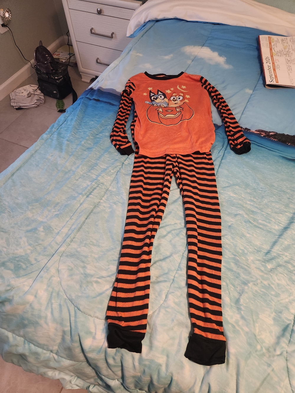 Bluey Boys 2-Piece Pajama Set Size 8 Bluey Bingo Striped Snug Fit Halloween